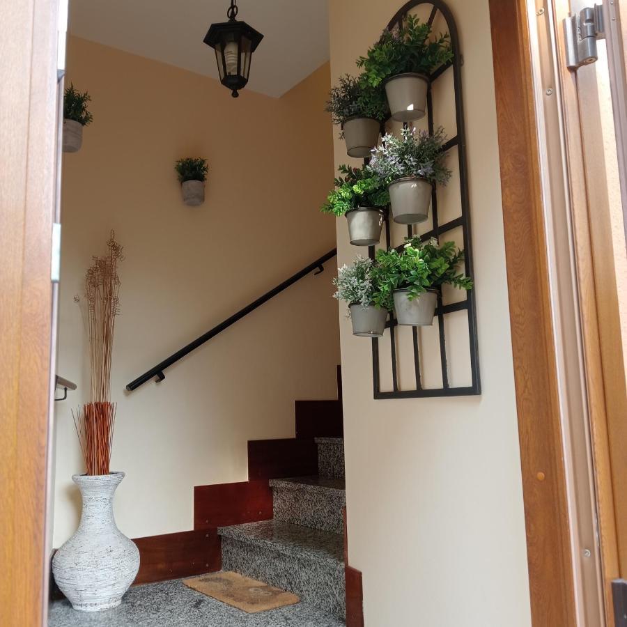 Casa Di Dario Βίλα Pettenasco Εξωτερικό φωτογραφία